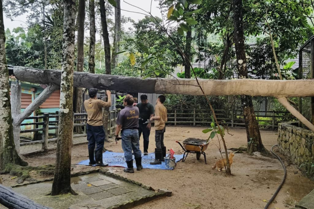 We Build Brighter Homes for Zoo Negara’s Animals